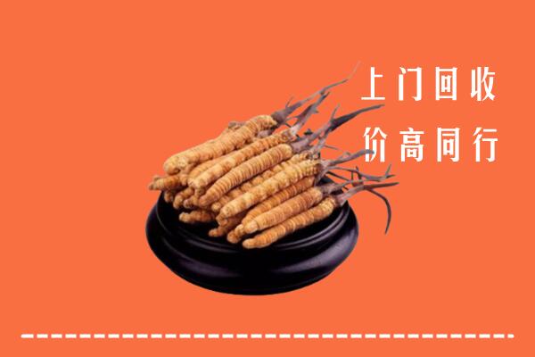高价求购：千山区回收散虫草