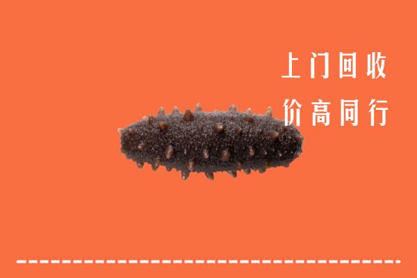 高价求购：千山区回收海参