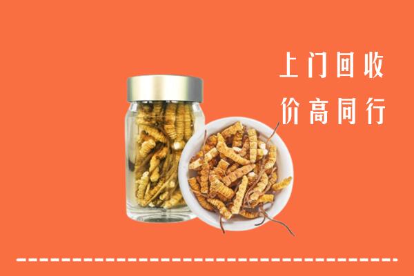 千山区回收冬虫夏草
